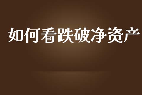 如何看跌破净资产_https://m.apzhendong.com_全球经济_第1张