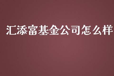 汇添富基金公司怎么样_https://m.apzhendong.com_财务分析_第1张