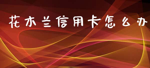 花木兰信用卡怎么办_https://m.apzhendong.com_全球经济_第1张