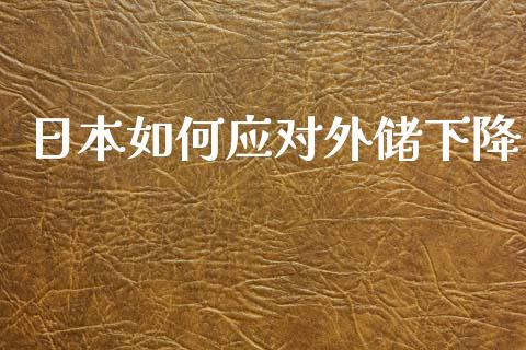 日本如何应对外储下降_https://m.apzhendong.com_财经资讯_第1张