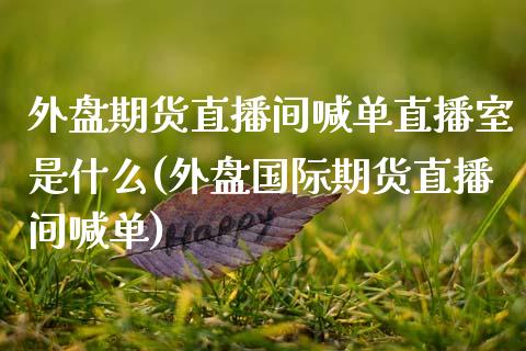 外盘期货直播间喊单直播室是什么(外盘国际期货直播间喊单)_https://m.apzhendong.com_财经资讯_第1张