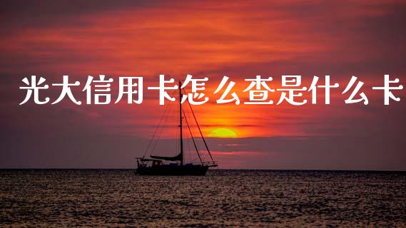 光大信用卡怎么查是什么卡_https://m.apzhendong.com_期货行情_第1张