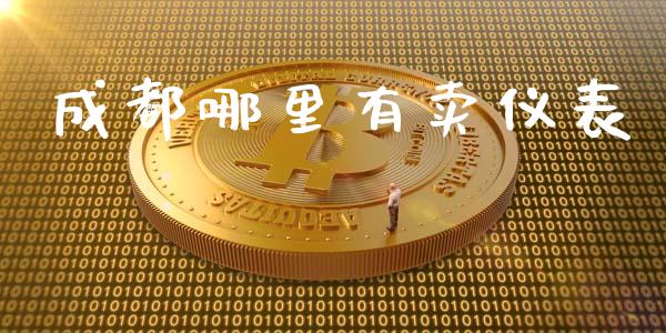 成都哪里有卖仪表_https://m.apzhendong.com_未分类_第1张