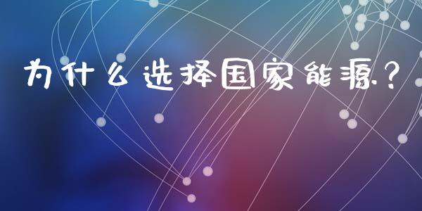 为什么选择国家能源？_https://m.apzhendong.com_财务分析_第1张