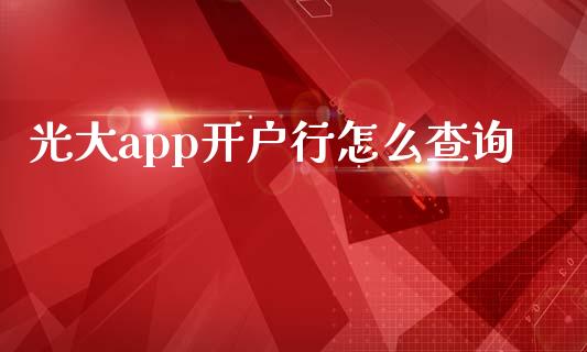 光大app开户行怎么查询_https://m.apzhendong.com_财经资讯_第1张