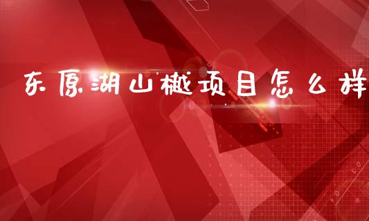 东原湖山樾项目怎么样_https://m.apzhendong.com_财经资讯_第1张