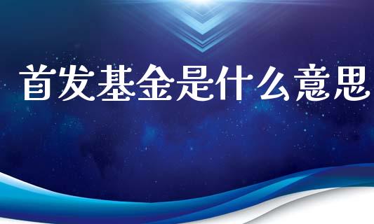 首发基金是什么意思_https://m.apzhendong.com_期货行情_第1张