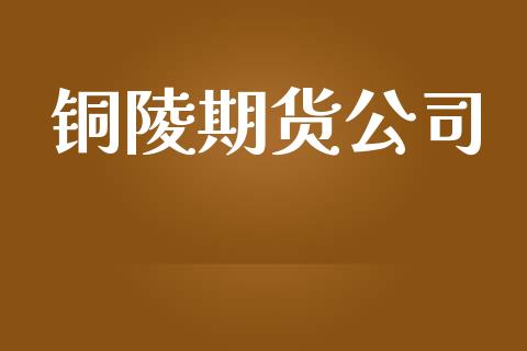 铜陵期货公司_https://m.apzhendong.com_财经资讯_第1张