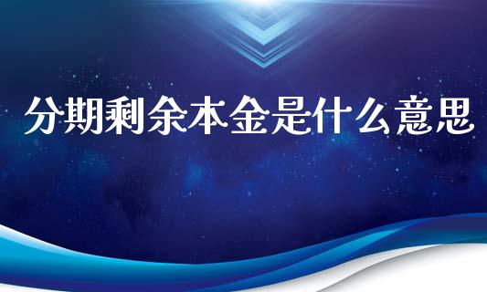 分期剩余本金是什么意思_https://m.apzhendong.com_全球经济_第1张