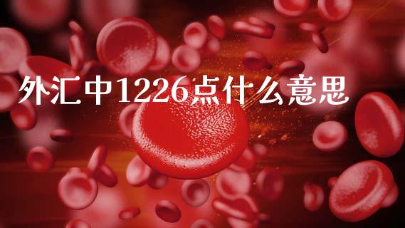 外汇中1226点什么意思_https://m.apzhendong.com_财务分析_第1张
