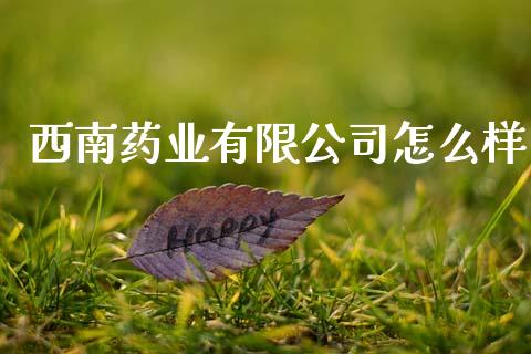 西南药业有限公司怎么样_https://m.apzhendong.com_财务分析_第1张