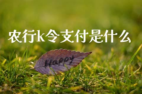 农行k令支付是什么_https://m.apzhendong.com_财务分析_第1张