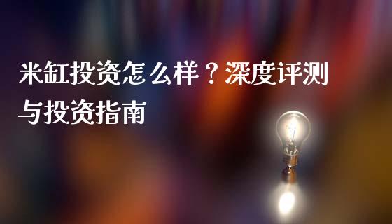 米缸投资怎么样？深度评测与投资指南_https://m.apzhendong.com_全球经济_第1张