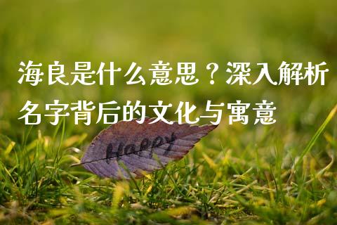 海良是什么意思？深入解析名字背后的文化与寓意_https://m.apzhendong.com_全球经济_第1张
