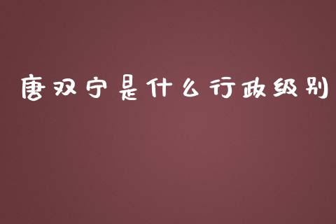 唐双宁是什么行政级别_https://m.apzhendong.com_全球经济_第1张