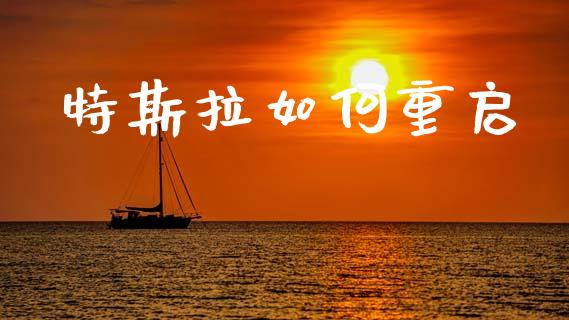 特斯拉如何重启_https://m.apzhendong.com_财经资讯_第1张