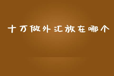 十万做外汇放在哪个_https://m.apzhendong.com_期货行情_第1张