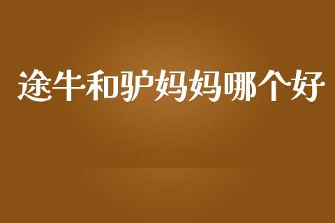 途牛和驴妈妈哪个好_https://m.apzhendong.com_期货行情_第1张