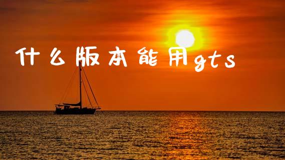 什么版本能用gts_https://m.apzhendong.com_期货行情_第1张