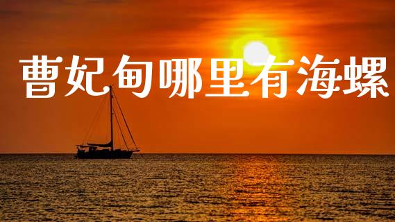 曹妃甸哪里有海螺_https://m.apzhendong.com_全球经济_第1张