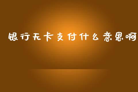 银行无卡支付什么意思啊_https://m.apzhendong.com_财务分析_第1张