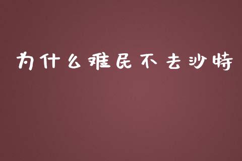 为什么难民不去沙特_https://m.apzhendong.com_财务分析_第1张