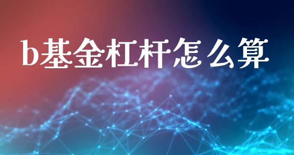 b基金杠杆怎么算_https://m.apzhendong.com_财务分析_第1张