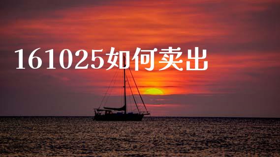 161025如何卖出_https://m.apzhendong.com_期货行情_第1张