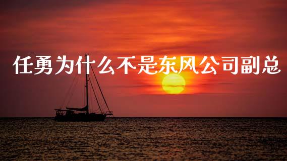 任勇为什么不是东风公司副总_https://m.apzhendong.com_期货行情_第1张
