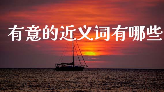 有意的近义词有哪些_https://m.apzhendong.com_财务分析_第1张