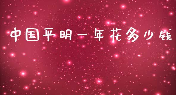 中国平明一年花多少钱_https://m.apzhendong.com_全球经济_第1张