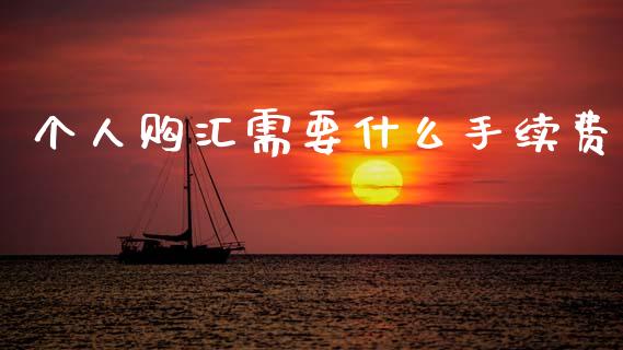 个人购汇需要什么手续费_https://m.apzhendong.com_全球经济_第1张