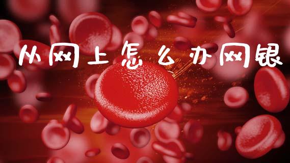 从网上怎么办网银_https://m.apzhendong.com_全球经济_第1张