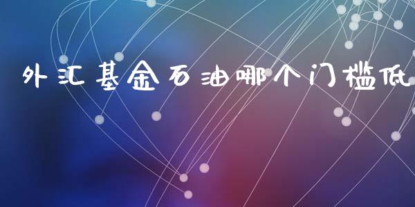 外汇基金石油哪个门槛低_https://m.apzhendong.com_财经资讯_第1张