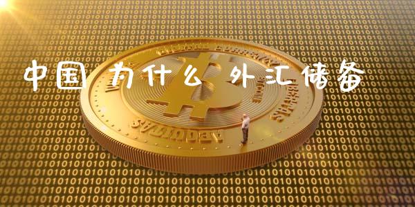 中国 为什么 外汇储备_https://m.apzhendong.com_财经资讯_第1张