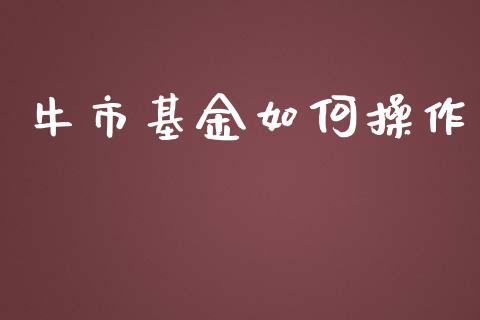 牛市基金如何操作_https://m.apzhendong.com_财经资讯_第1张