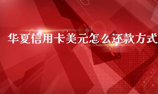 华夏信用卡美元怎么还款方式_https://m.apzhendong.com_财务分析_第1张