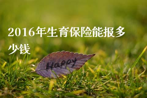 2016年生育保险能报多少钱_https://m.apzhendong.com_全球经济_第1张