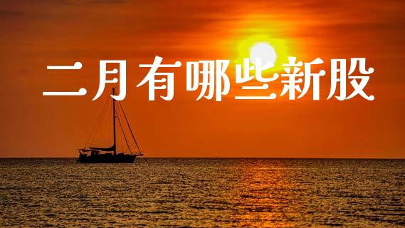 二月有哪些新股_https://m.apzhendong.com_全球经济_第1张