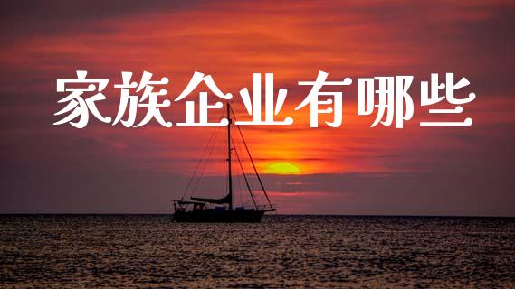 家族企业有哪些_https://m.apzhendong.com_财务分析_第1张