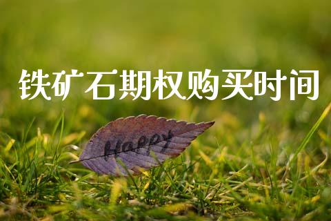 铁矿石期权购买时间_https://m.apzhendong.com_财经资讯_第1张