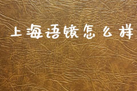 上海语镜怎么样_https://m.apzhendong.com_全球经济_第1张