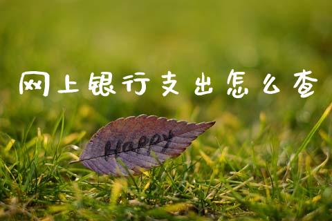 网上银行支出怎么查_https://m.apzhendong.com_全球经济_第1张