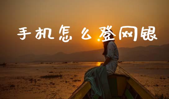 手机怎么登网银_https://m.apzhendong.com_财务分析_第1张