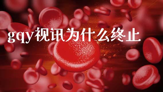 gqy视讯为什么终止_https://m.apzhendong.com_财务分析_第1张