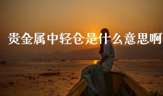 贵金属中轻仓是什么意思啊_https://m.apzhendong.com_期货行情_第1张
