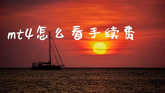 mt4怎么看手续费_https://m.apzhendong.com_全球经济_第1张