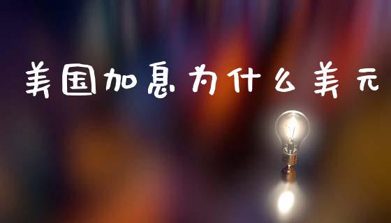 美国加息为什么美元_https://m.apzhendong.com_财务分析_第1张