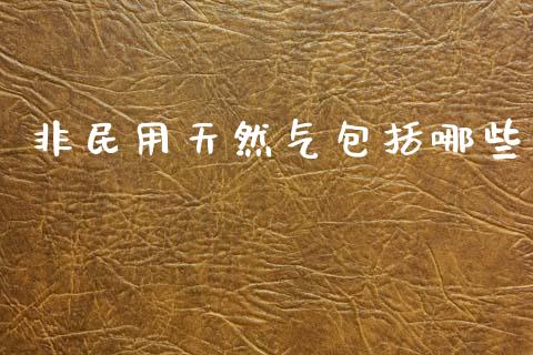 非民用天然气包括哪些_https://m.apzhendong.com_财经资讯_第1张