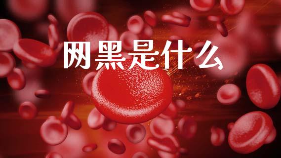 网黑是什么_https://m.apzhendong.com_全球经济_第1张